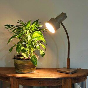 Vintage MCM Gooseneck Metal Desk Lamp HEYCO Industrial Decor 21 Inch WORKS